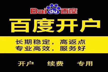 百度推广费用优化策略：成功案例分享